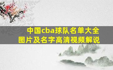 中国cba球队名单大全图片及名字高清视频解说