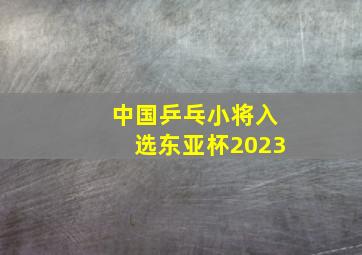 中国乒乓小将入选东亚杯2023