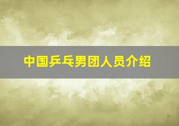 中国乒乓男团人员介绍