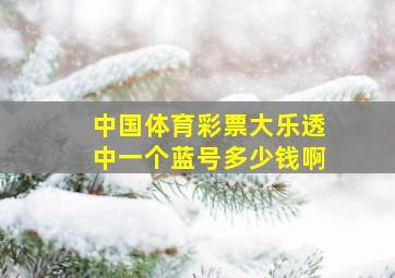 中国体育彩票大乐透中一个蓝号多少钱啊