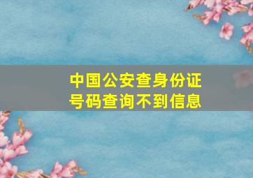 中国公安查身份证号码查询不到信息