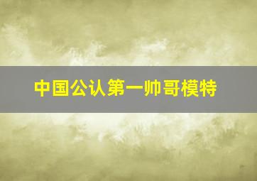 中国公认第一帅哥模特