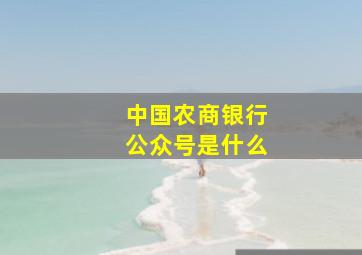 中国农商银行公众号是什么