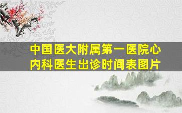 中国医大附属第一医院心内科医生出诊时间表图片