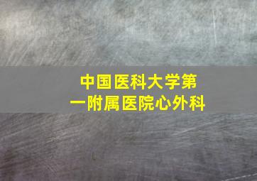 中国医科大学第一附属医院心外科