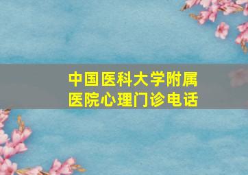 中国医科大学附属医院心理门诊电话