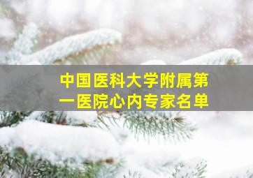 中国医科大学附属第一医院心内专家名单