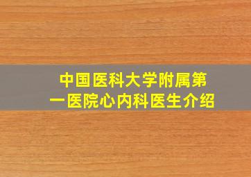 中国医科大学附属第一医院心内科医生介绍