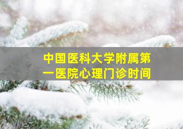 中国医科大学附属第一医院心理门诊时间