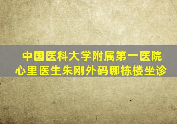 中国医科大学附属第一医院心里医生朱刚外码哪栋楼坐诊