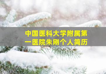 中国医科大学附属第一医院朱刚个人简历