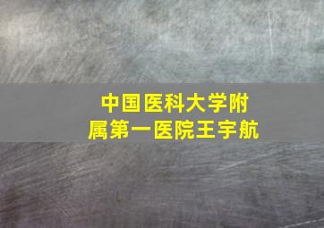 中国医科大学附属第一医院王宇航