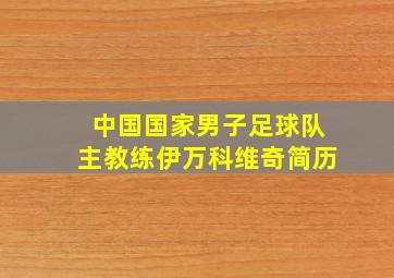 中国国家男子足球队主教练伊万科维奇简历