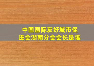 中国国际友好城市促进会湖南分会会长是谁