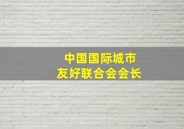 中国国际城市友好联合会会长