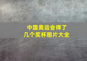 中国奥运会得了几个奖杯图片大全