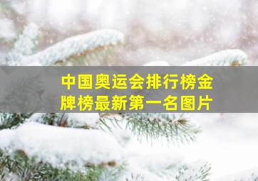 中国奥运会排行榜金牌榜最新第一名图片