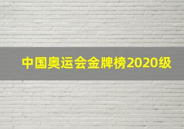 中国奥运会金牌榜2020级