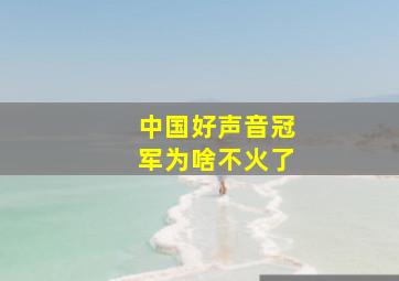 中国好声音冠军为啥不火了