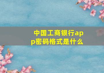 中国工商银行app密码格式是什么