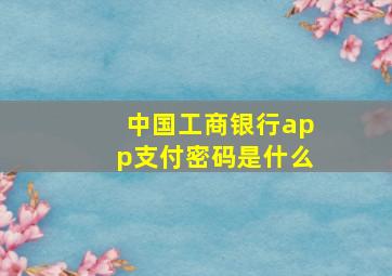 中国工商银行app支付密码是什么