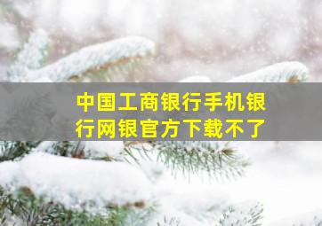 中国工商银行手机银行网银官方下载不了