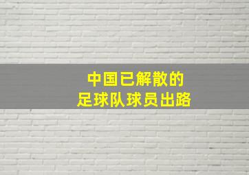 中国已解散的足球队球员出路