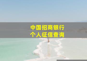 中国招商银行个人征信查询