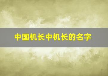 中国机长中机长的名字