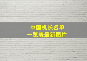 中国机长名单一览表最新图片