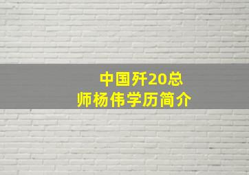 中国歼20总师杨伟学历简介