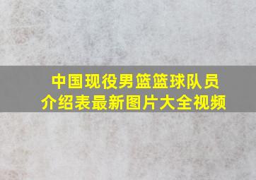 中国现役男篮篮球队员介绍表最新图片大全视频