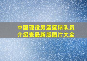 中国现役男篮篮球队员介绍表最新版图片大全