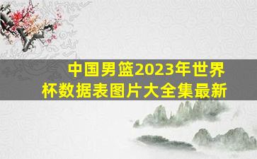 中国男篮2023年世界杯数据表图片大全集最新