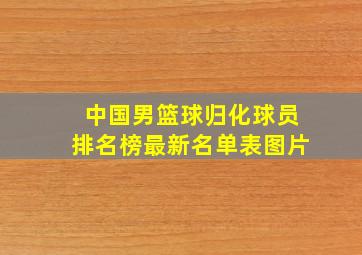 中国男篮球归化球员排名榜最新名单表图片