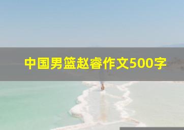 中国男篮赵睿作文500字