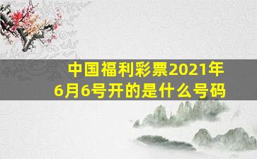 中国福利彩票2021年6月6号开的是什么号码