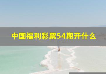 中国福利彩票54期开什么