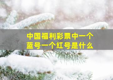 中国福利彩票中一个蓝号一个红号是什么