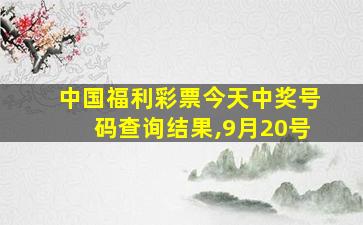 中国福利彩票今天中奖号码查询结果,9月20号