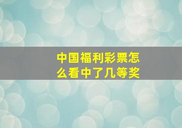 中国福利彩票怎么看中了几等奖