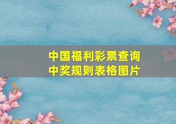 中国福利彩票查询中奖规则表格图片