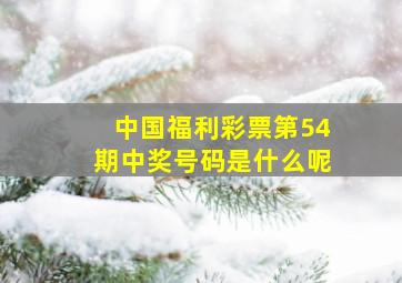 中国福利彩票第54期中奖号码是什么呢