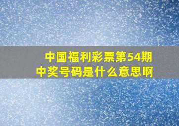 中国福利彩票第54期中奖号码是什么意思啊