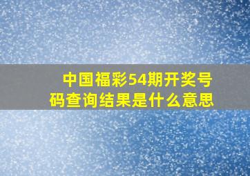 中国福彩54期开奖号码查询结果是什么意思