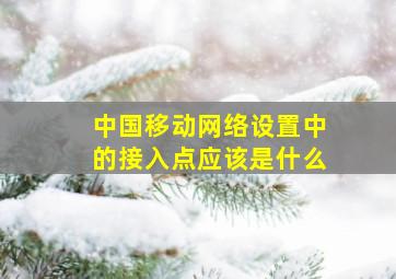 中国移动网络设置中的接入点应该是什么