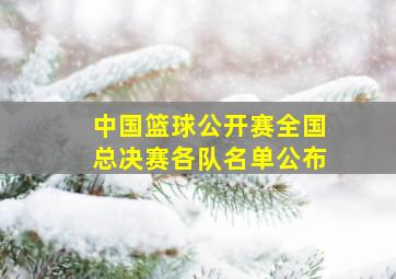 中国篮球公开赛全国总决赛各队名单公布