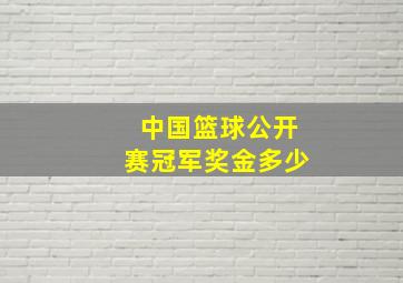 中国篮球公开赛冠军奖金多少