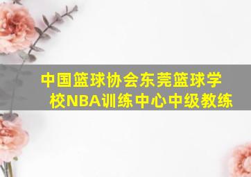 中国篮球协会东莞篮球学校NBA训练中心中级教练