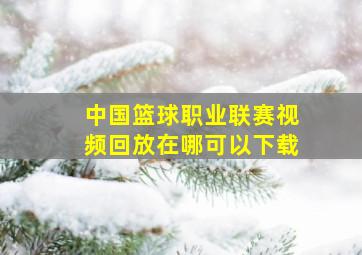 中国篮球职业联赛视频回放在哪可以下载